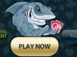 Как играть в покер Шарк: правила и основные нюансы игры