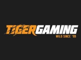 TigerGaming провел выплаты для игроков пострадавших от ботов